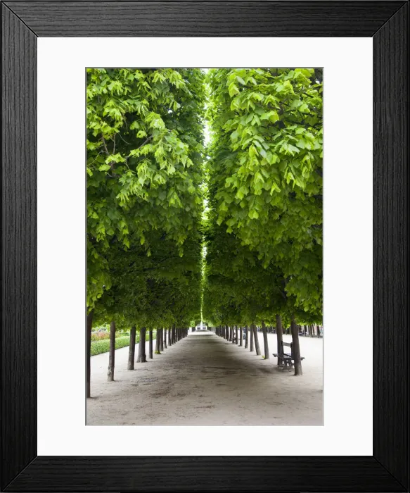Framed Print : DDE-90029699 Framed Print : DDE-90029699