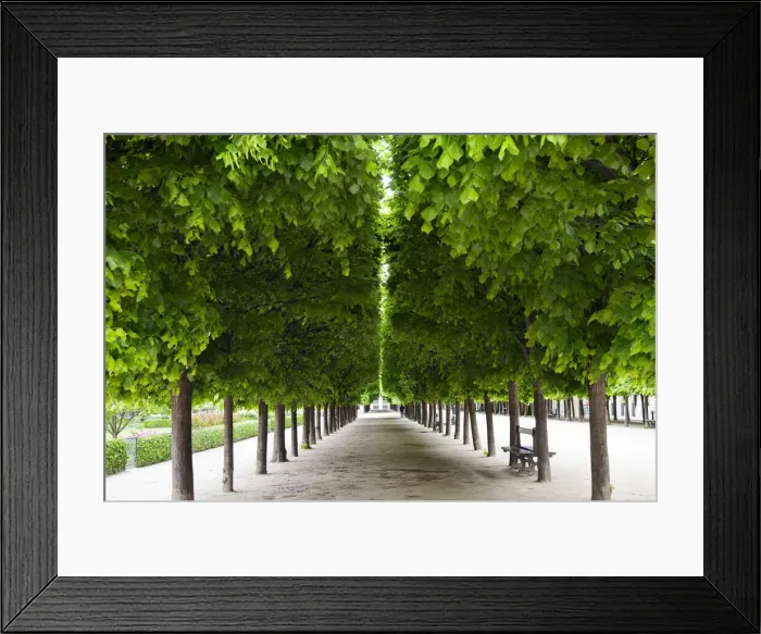 Framed Print : DDE-90029700 Framed Print : DDE-90029700