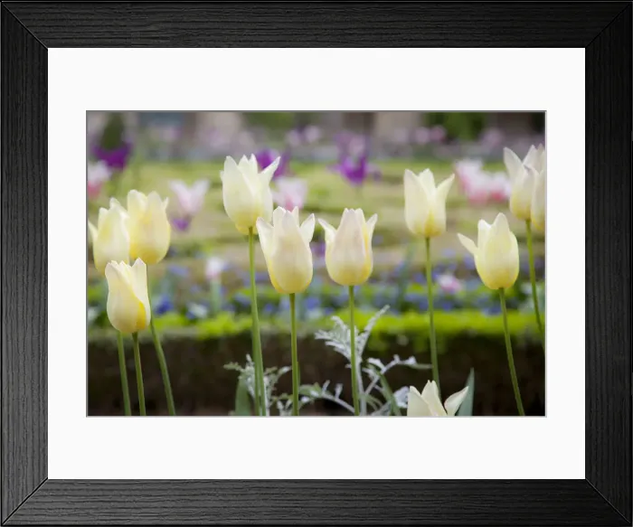 Framed Print : DDE-90029715 Framed Print : DDE-90029715