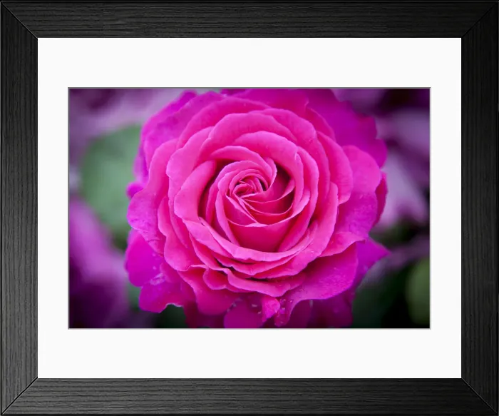Framed Print : DDE-90029727 Framed Print : DDE-90029727