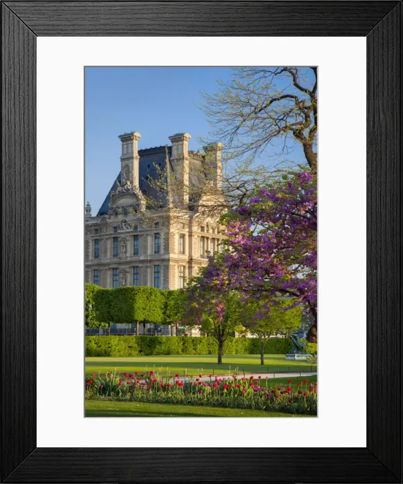 Framed Print : DDE-90029731 Framed Print : DDE-90029731