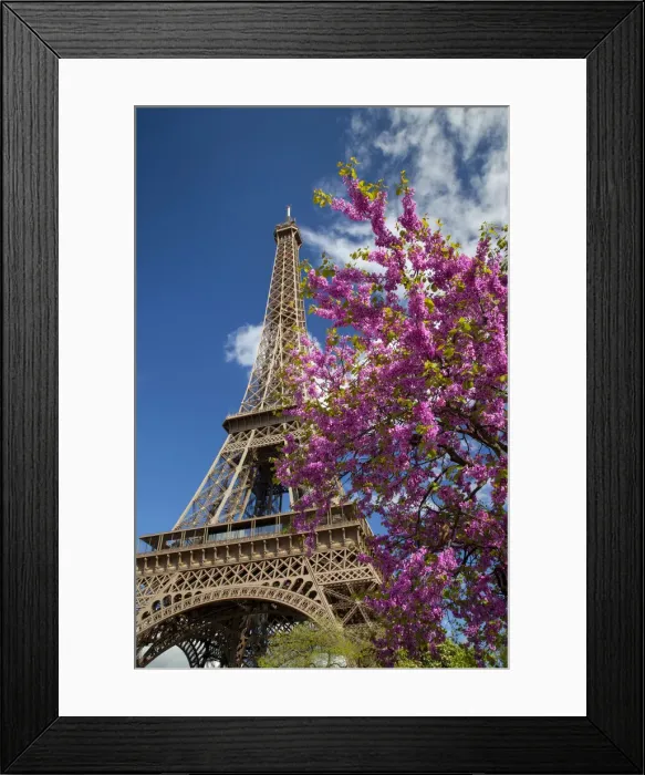 Framed Print : DDE-90029732 Framed Print : DDE-90029732