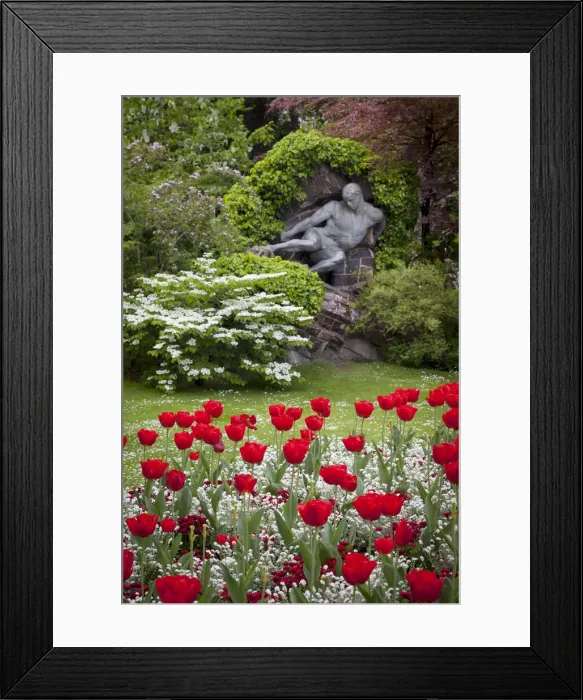Framed Print : DDE-90029734 Framed Print : DDE-90029734