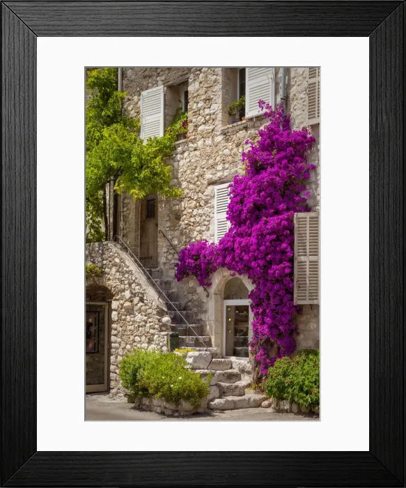 Framed Print : DDE-90029737 Framed Print : DDE-90029737