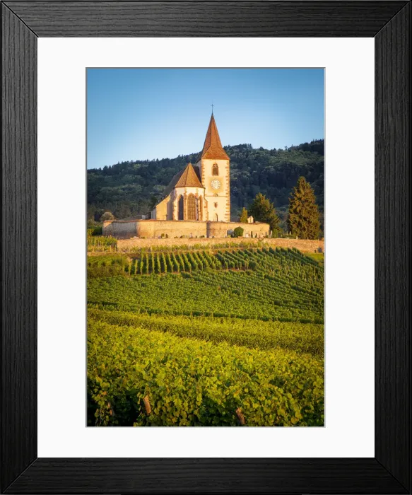 Framed Print : DDE-90029754 Framed Print : DDE-90029754