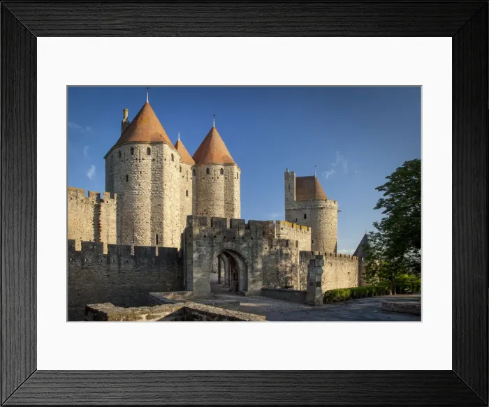 Framed Print : DDE-90029756