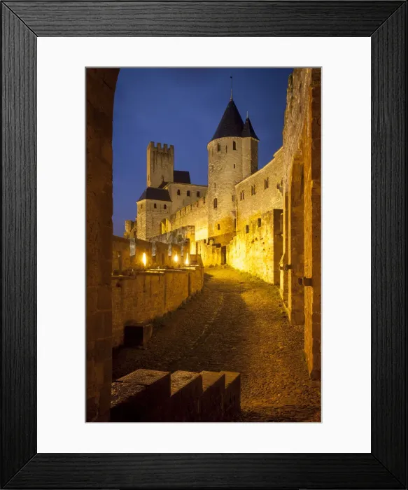Framed Print : DDE-90029758