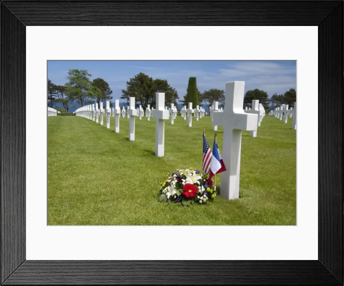 Framed Print : DDE-90029775 Framed Print : DDE-90029775