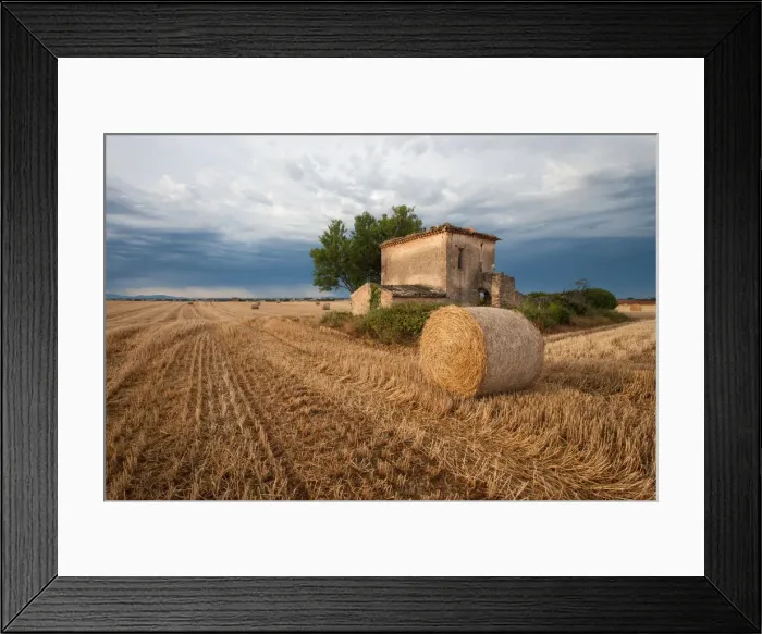 Framed Print : DDE-90029774
