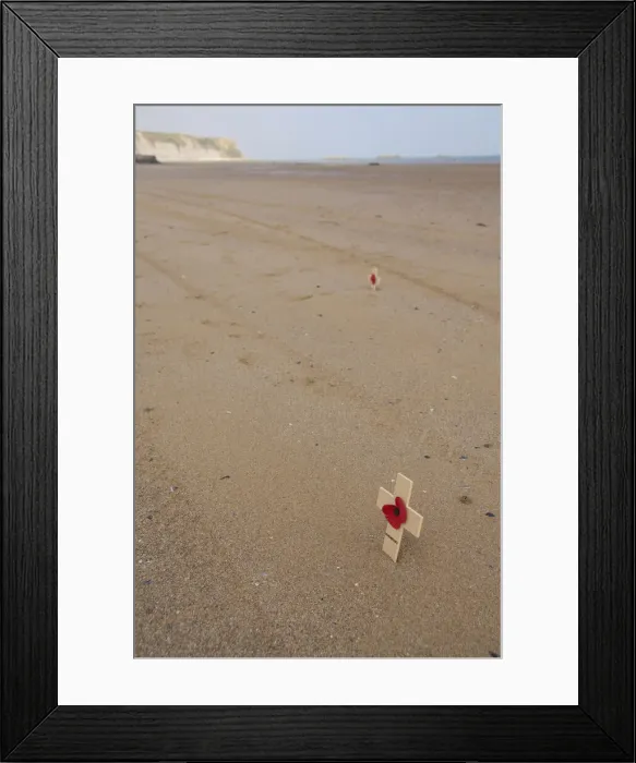 Framed Print : DDE-90029778
