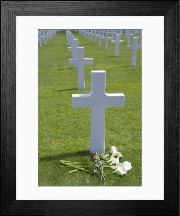 Framed Print : DDE-90029779 Framed Print : DDE-90029779