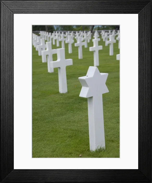 Framed Print : DDE-90029780