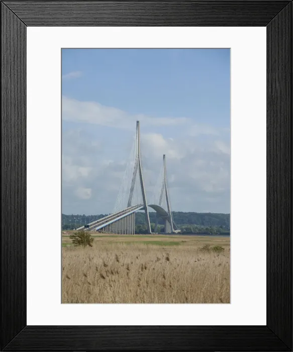 Framed Print : DDE-90029785 Framed Print : DDE-90029785