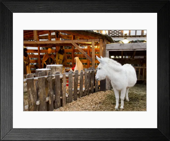 Framed Print : DDE-90029790 Framed Print : DDE-90029790