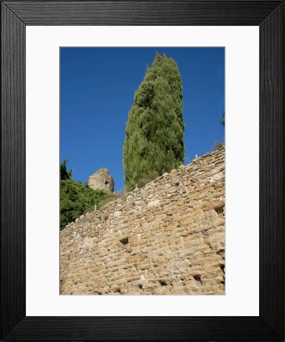 Framed Print : DDE-90029792 Framed Print : DDE-90029792