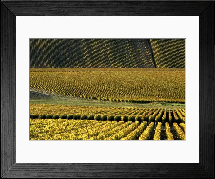 Framed Print : DDE-90029794