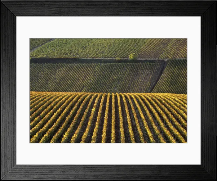 Framed Print : DDE-90029795