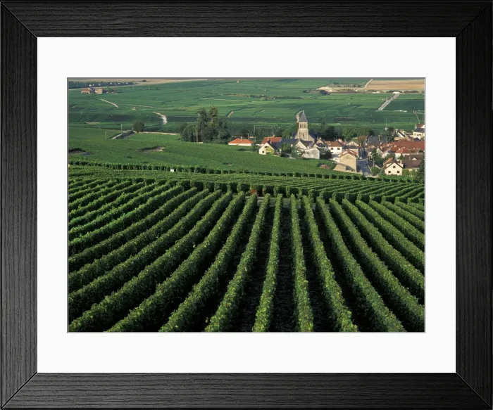 Framed Print : DDE-90029806 Framed Print : DDE-90029806