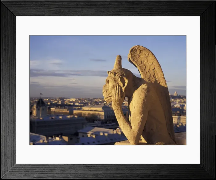 Framed Print : DDE-90029809 Framed Print : DDE-90029809