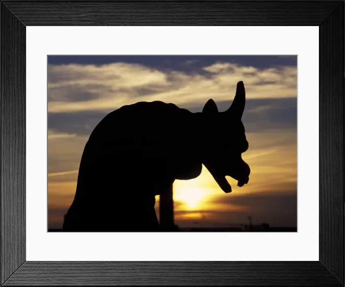 Framed Print : DDE-90029810 Framed Print : DDE-90029810