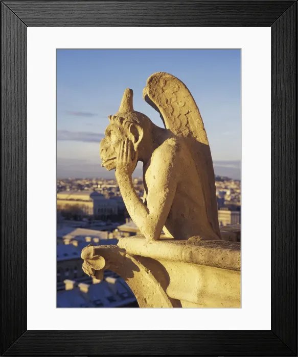 Framed Print : DDE-90029808 Framed Print : DDE-90029808