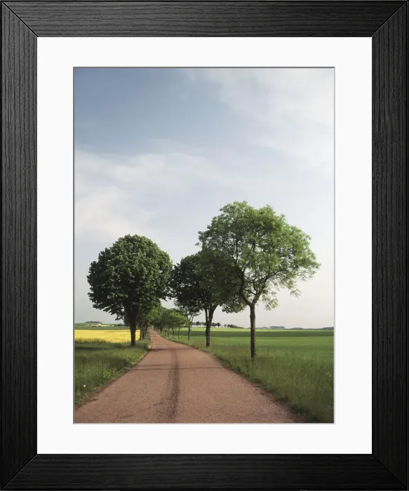 Framed Print : DDE-90029821 Framed Print : DDE-90029821
