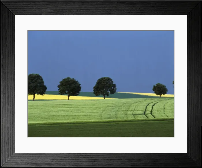 Framed Print : DDE-90029822 Framed Print : DDE-90029822