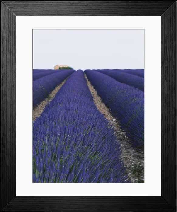 Framed Print : DDE-90029825 Framed Print : DDE-90029825