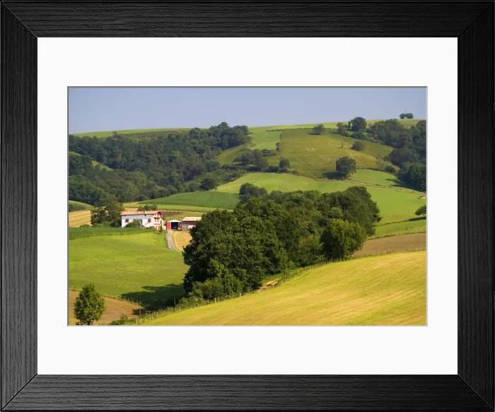 Framed Print : DDE-90029834