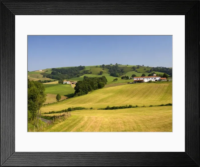 Framed Print : DDE-90029835 Framed Print : DDE-90029835