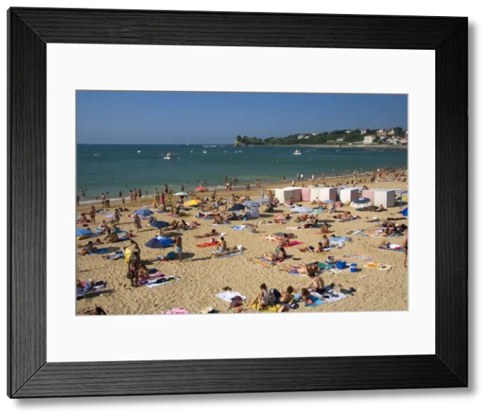 Framed Print : DDE-90029840 Framed Print : DDE-90029840