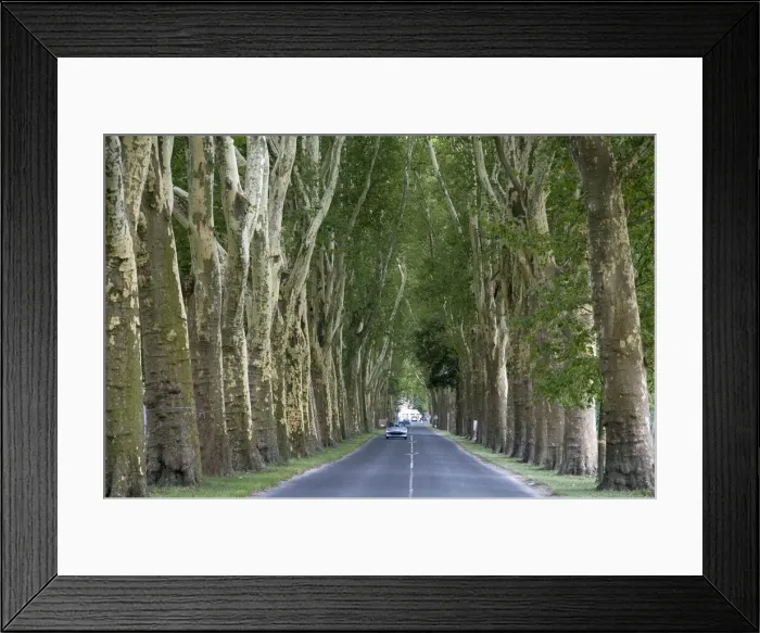Framed Print : DDE-90029843 Framed Print : DDE-90029843