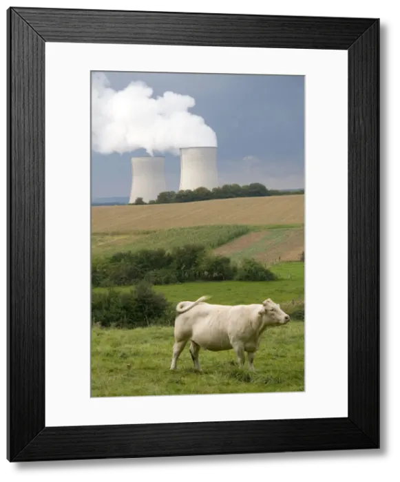 Framed Print : DDE-90029847 Framed Print : DDE-90029847