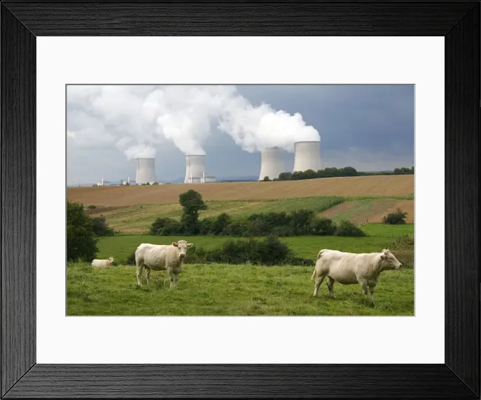 Framed Print : DDE-90029846