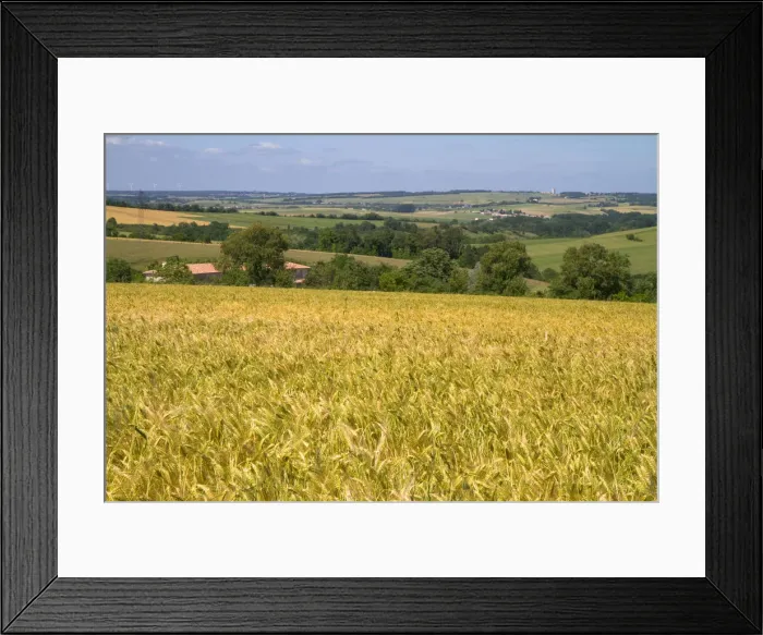 Framed Print : DDE-90029850 Framed Print : DDE-90029850