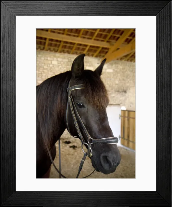 Framed Print : DDE-90029851