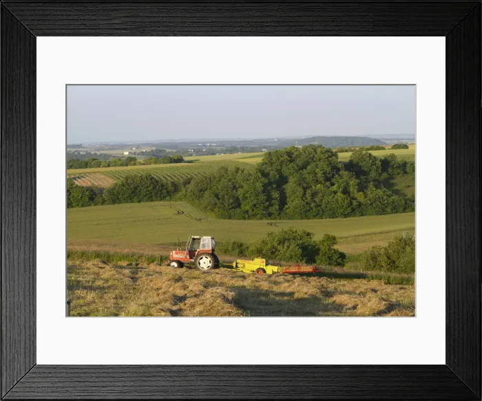 Framed Print : DDE-90029852 Framed Print : DDE-90029852