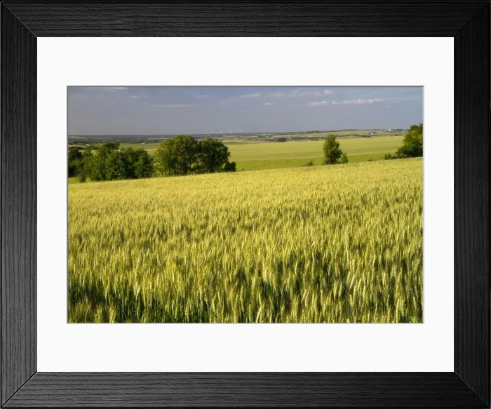 Framed Print : DDE-90029853 Framed Print : DDE-90029853