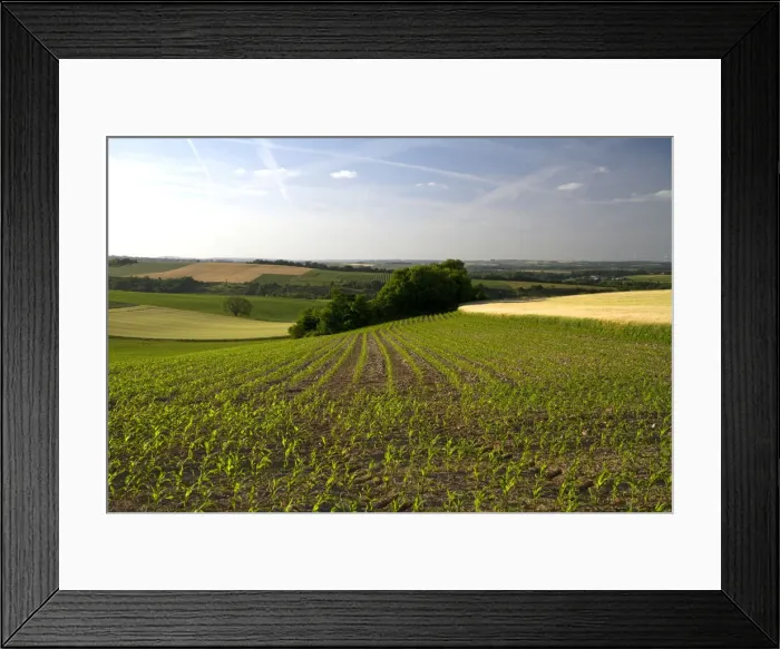 Framed Print : DDE-90029854 Framed Print : DDE-90029854