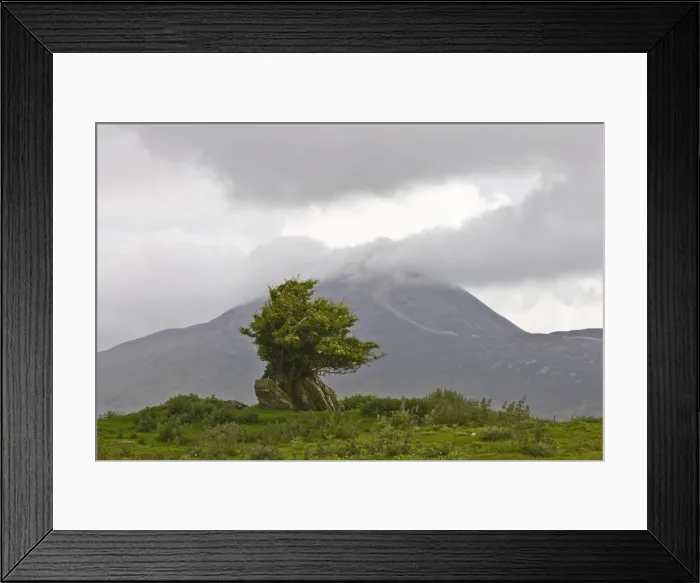 Framed Print : DDE-90031927 Framed Print : DDE-90031927