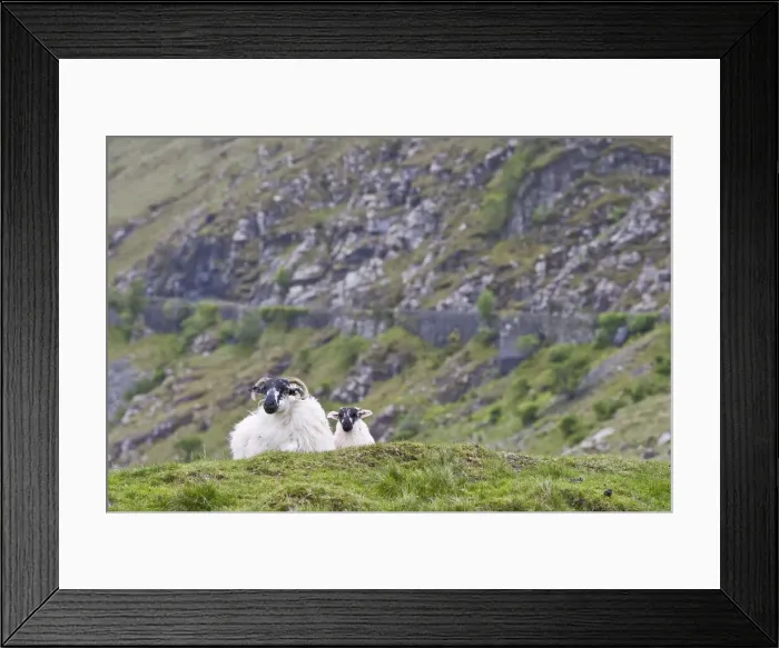 Framed Print : DDE-90031928 Framed Print : DDE-90031928