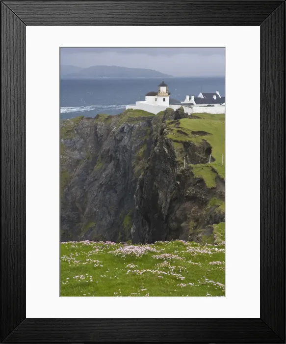 Framed Print : DDE-90031929 Framed Print : DDE-90031929