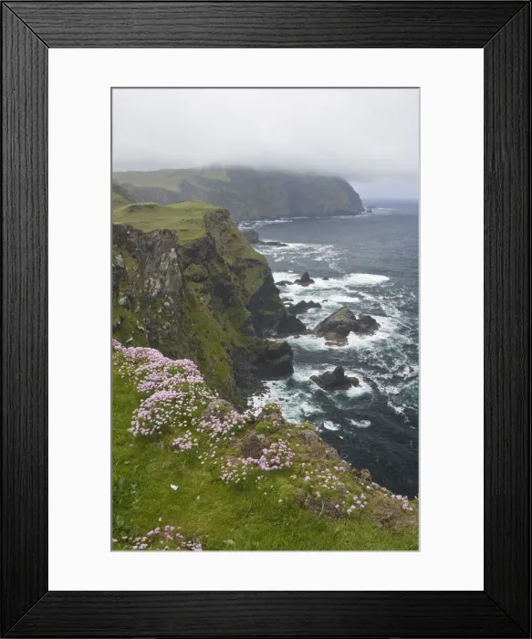 Framed Print : DDE-90031930 Framed Print : DDE-90031930
