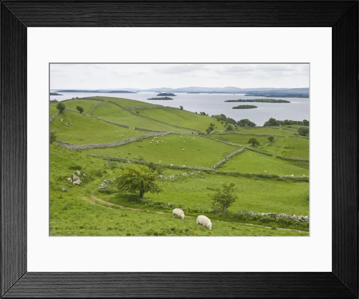 Framed Print : DDE-90031931 Framed Print : DDE-90031931