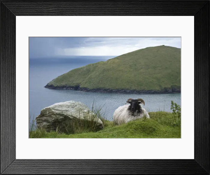 Framed Print : DDE-90031932 Framed Print : DDE-90031932