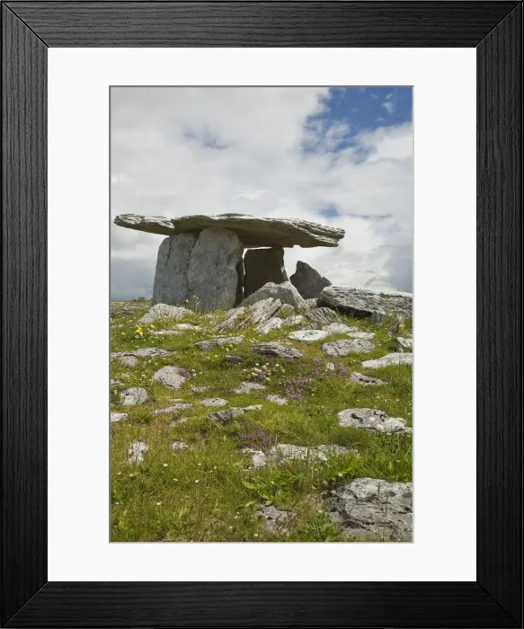Framed Print : DDE-90031936 Framed Print : DDE-90031936