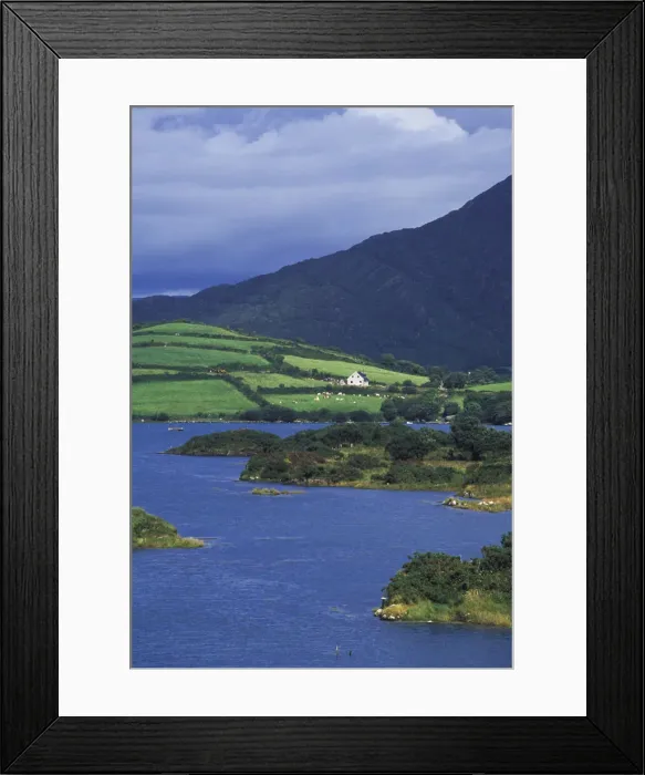 Framed Print : DDE-90031938 Framed Print : DDE-90031938
