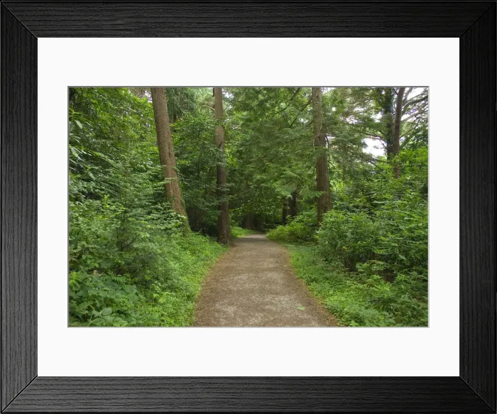 Framed Print : DDE-90031953 Framed Print : DDE-90031953