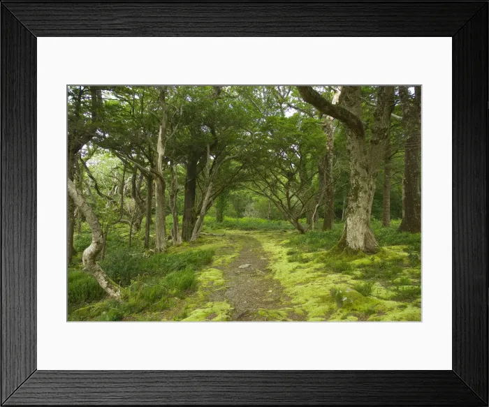 Framed Print : DDE-90031954 Framed Print : DDE-90031954