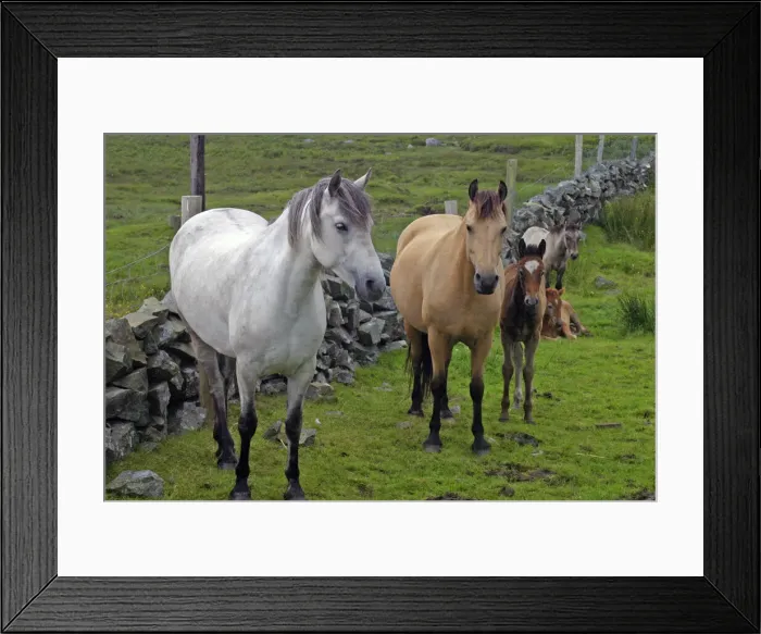 Framed Print : DDE-90031955 Framed Print : DDE-90031955